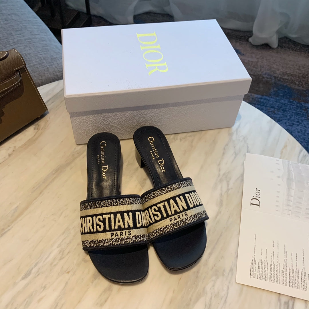 D I O R slides (2 Options)